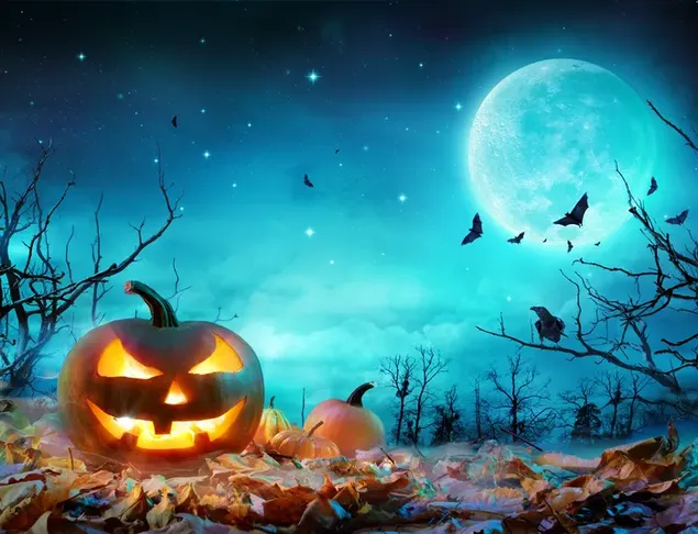 Hutan Labu Jack-o-lantern