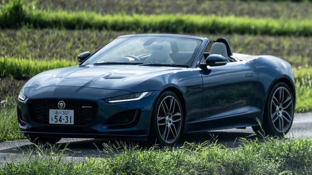 jaguar f-type convertible r-dynamic 2020 01 daawnohld