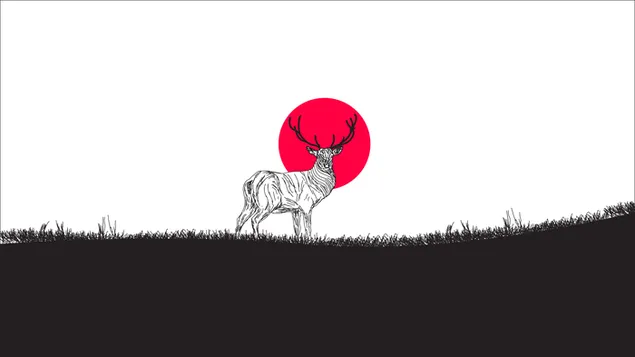 Japan deer minimalist on the black and white grasps 8K wallpaper