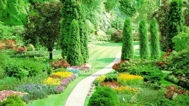Jardín verde hecho por el hombre