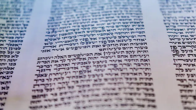 jiddesch opgemaach sefer torah parashat ekev eroflueden