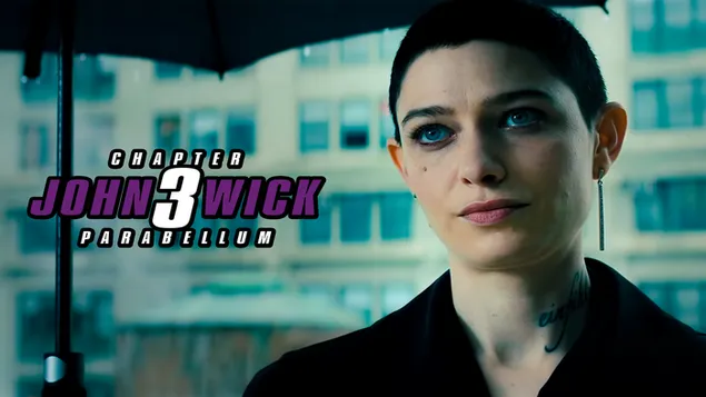 John Wick: Kapitel 3 – Parabellum Adjudicador