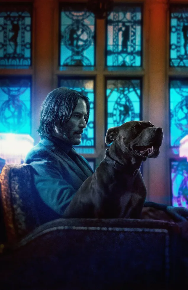 Glavni glumac serije John Wick i njegov pas 4K pozadina