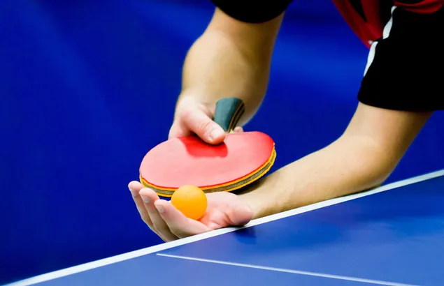 Juego de tenis de mesa con raqueta roja y pelota naranja.