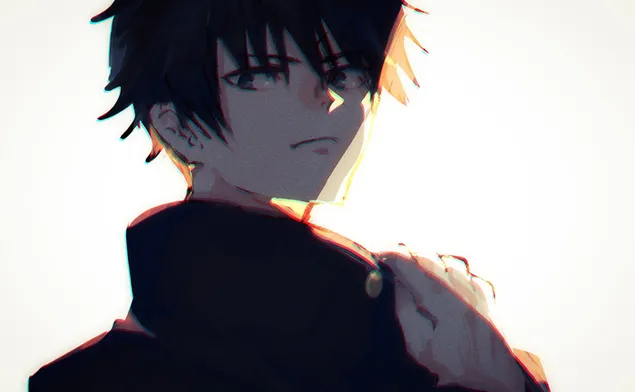 Jujutsu Kaisen - Мегуми Фушигура HD тапет