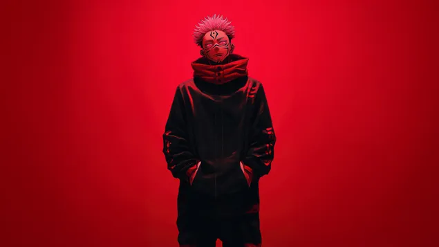 jujutsu kaisen sukuna ltnzyl