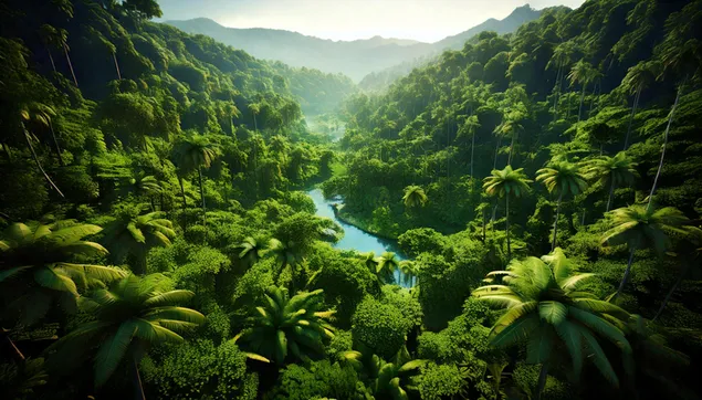 Džungļi ar daudziem kokiem 2K fona tapete