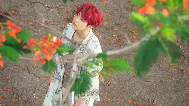 lhqt k-pop 'bts' idol : jungkook hvrd