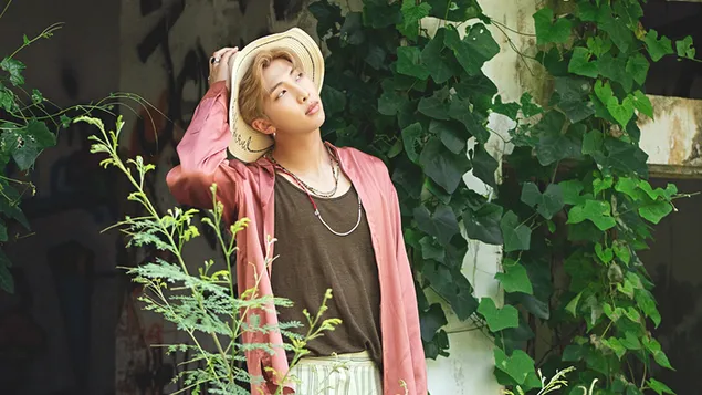 idol k-popove kapely 'bts': rm (rap monster) stahnout