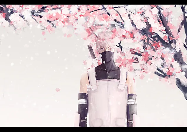 はたけカカシの桜の下での新しい姿 2K 壁紙