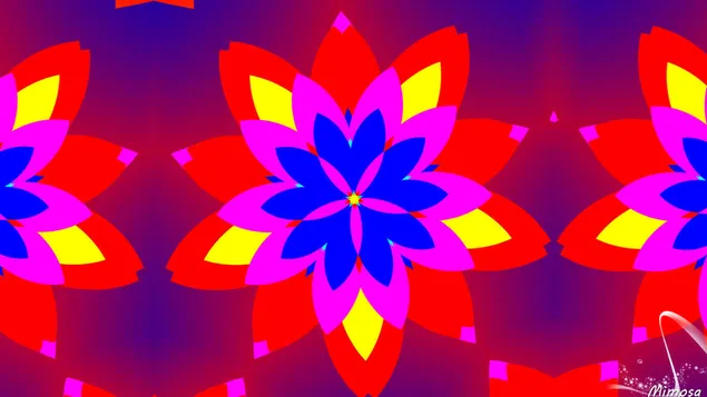 flor caleidoscopio HD fondo de pantalla