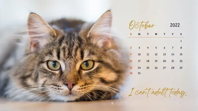 Kalender Desktop - Oktober 2022 bertema Kucing unduhan