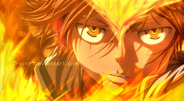 katekyo hitman reborn! - tsunayoshi sawada download