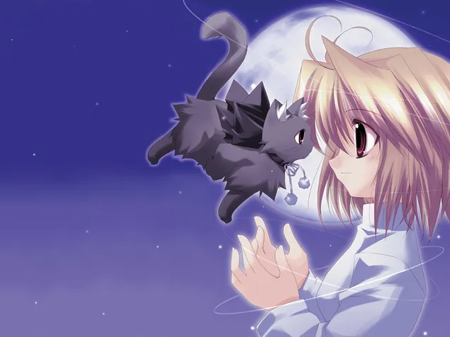 かわいいアニメの女の子とぼやけた月の後ろに飛んでいる猫 ダウンロード