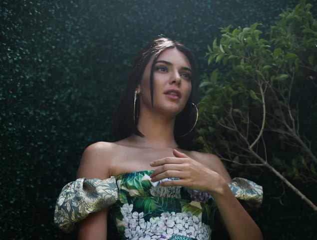 كيندال جينر - نموذج أمريكي رائعتين 2K خلفية