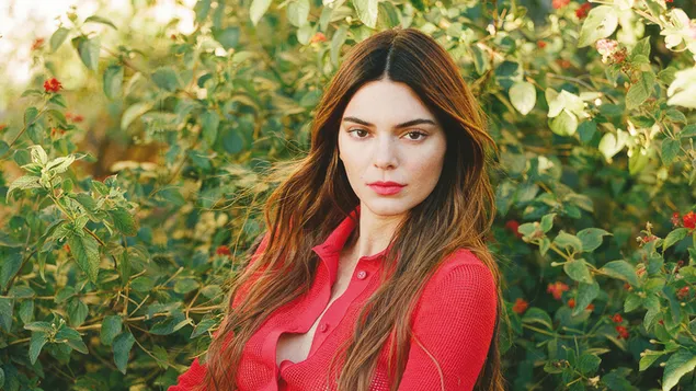 kendall jenner | vogue magazin tskhina skhoot preuzmi