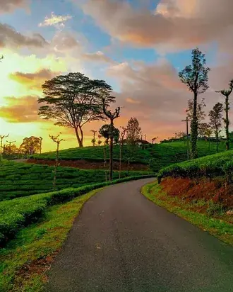 coucher de soleil du kerala dans la foret telechargement