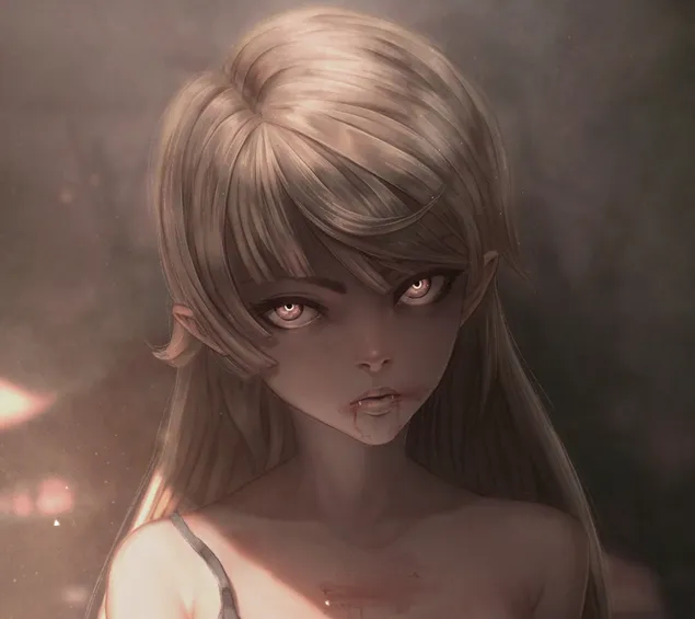 Taustpilt Kiss-Shot-Acerola-Orion Heart-Under-Blade: Monogatari seeria HD