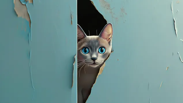 prezemete mache shto dzirka od dzid