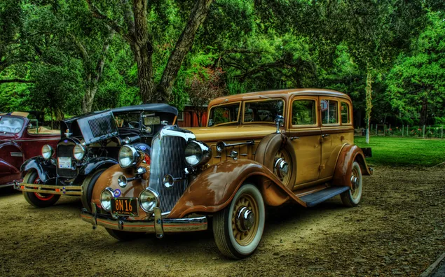 Klassische Packard-Limousinen zwischen den Bäumen im Wald