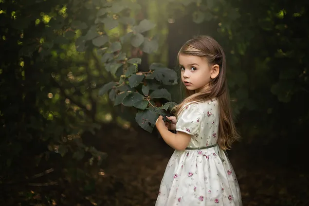 Klein meisje in het bos download