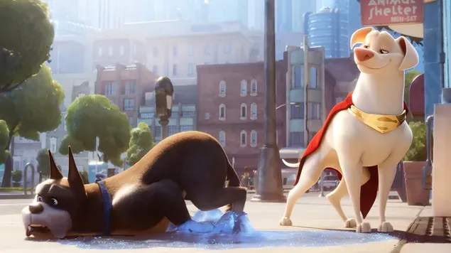 Kripto un dūzis no DC League of Super-Pets 4K fona tapete