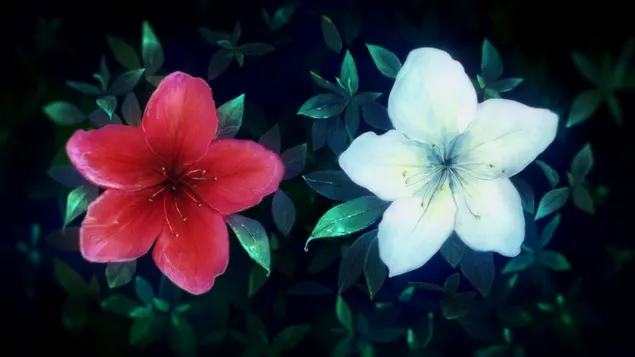 Taustakuva Kyoukai no Kanata (Beyond the Boundary) 4K