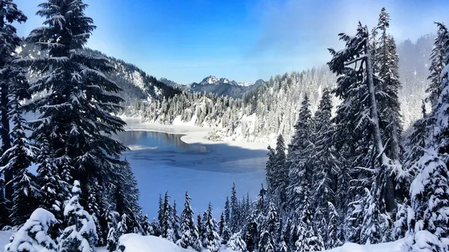 Lago congelado y nieve
