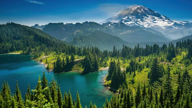 ozero posredi lesa skachat'