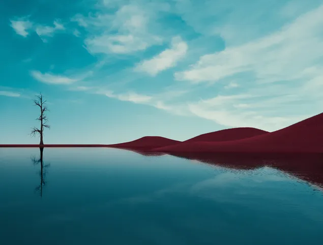 Vista al lago montañas moradas y reflejo del árbol. 4K fondo de pantalla