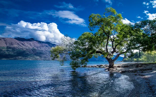 Lake Wakatipu in Queenstown, Nieuw-Zeeland