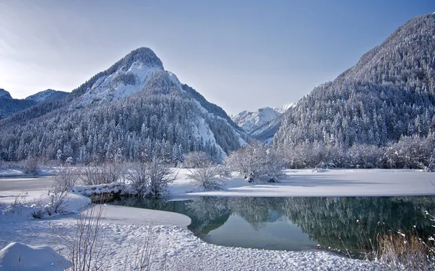 Paisaje de invierno junto al lago 4K fondo de pantalla
