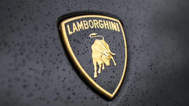 Lamborghini zwart logo