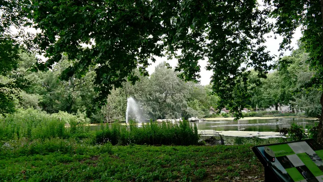Landscape in Buckingham Palace Garden
