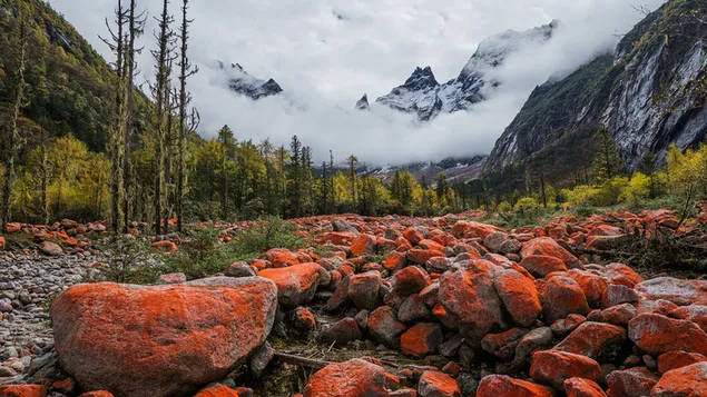 Landschap van liangtaigou-vallei in China met rode stenen met mistige en besneeuwde bergen