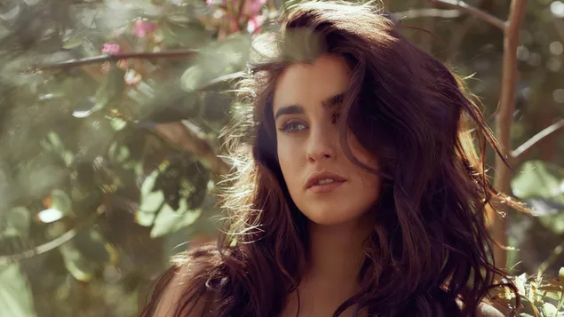 Lauren Jauregui | Amerikaanse sanger aflaai