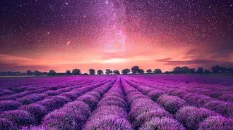 Lavander di Langit Berbintang 2K kertas dinding