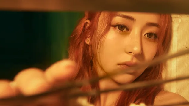 Yunjin - Album Mudah (Sheer Myrrh Ver.) terbitan LE SSERAFIM 4K kertas dinding