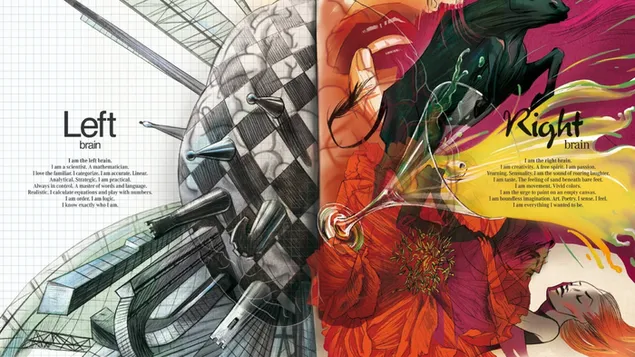 minh hoa nao trai va phai tai xuong