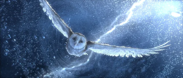 Legends of the guardians: The owls of Ga'hoole