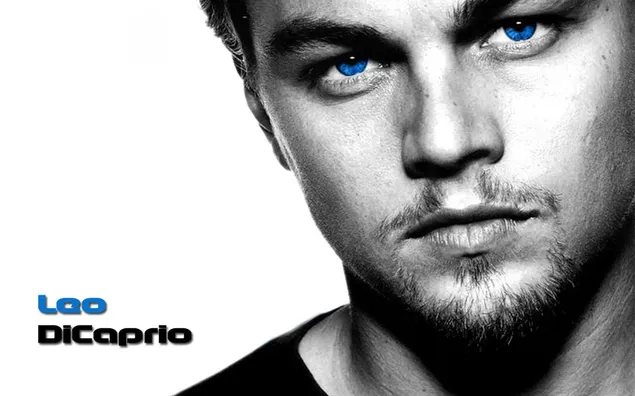 Leonardo Dicaprio-poster download