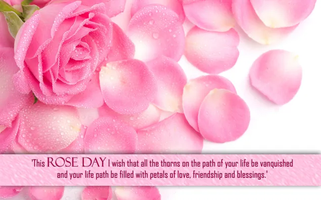 Liebe Grüße zum Rosentag