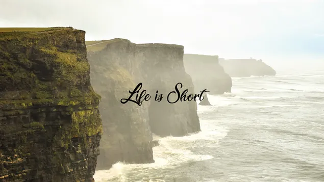 生命短暂 4K 壁纸