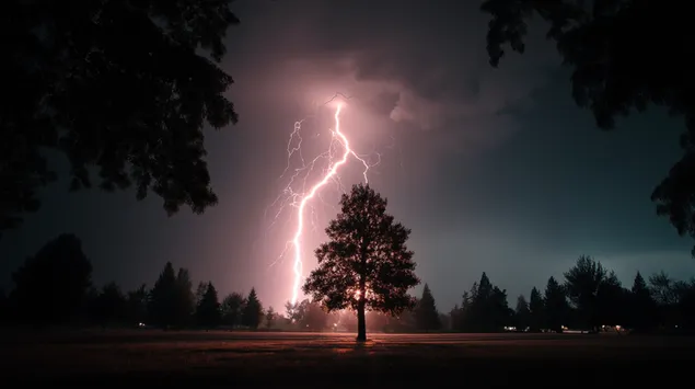 munja udara blizu usamljenog drveta notshu preuzmi