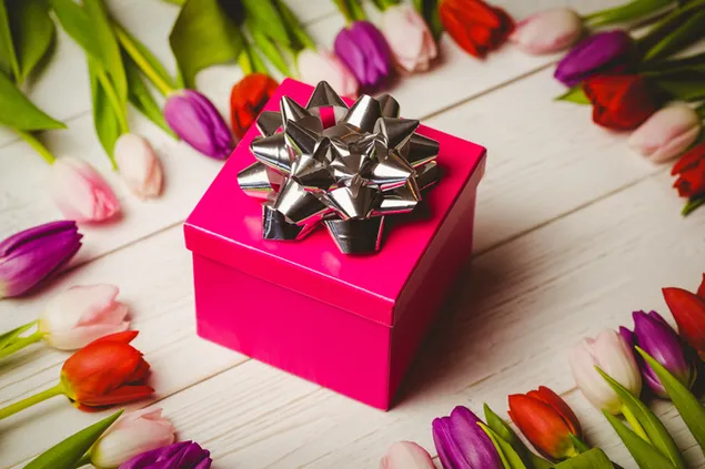 Lila Blume und Geschenkbox