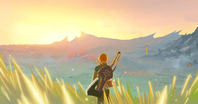 Link - The Legend of Zelda: Breath of the Wild (Anime-videogame)