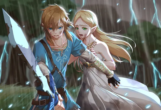 Link with Zelda - The Legend of Zelda [Anime Video Game]