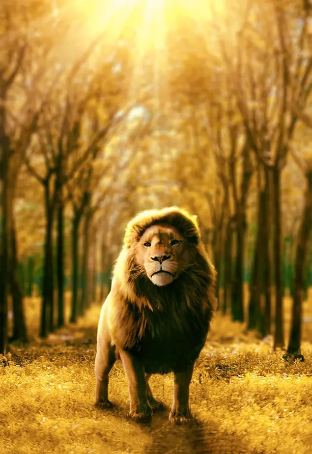 Løve i junglen download