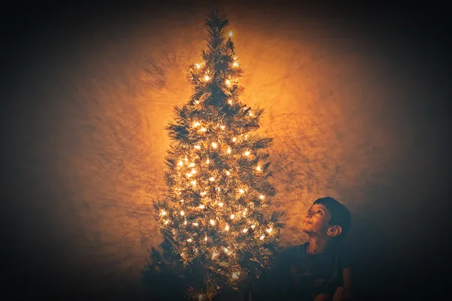 Niño mirando el árbol de Navidad