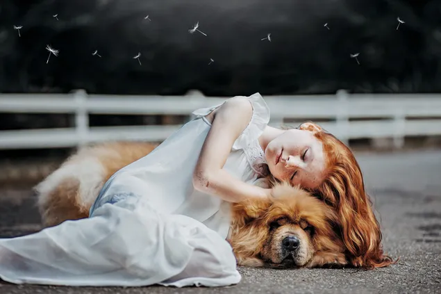Kleines Mädchen im weißen Kleid lag und umarmte einen süßen Hund herunterladen